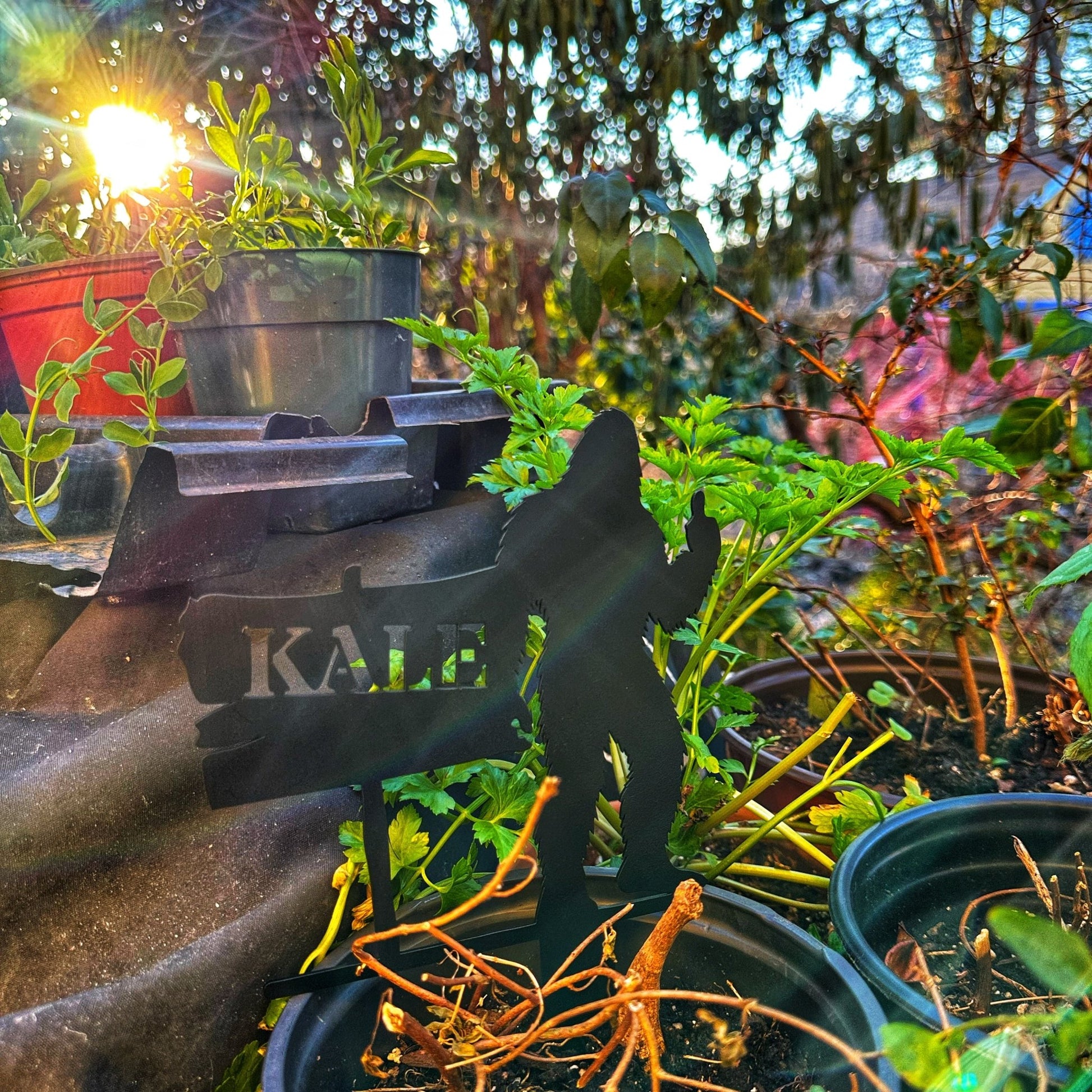 Sasquatch Sign Metal Garden Row Marker with Custom Text - Out of Office Outfitters - Die - Cut Sign