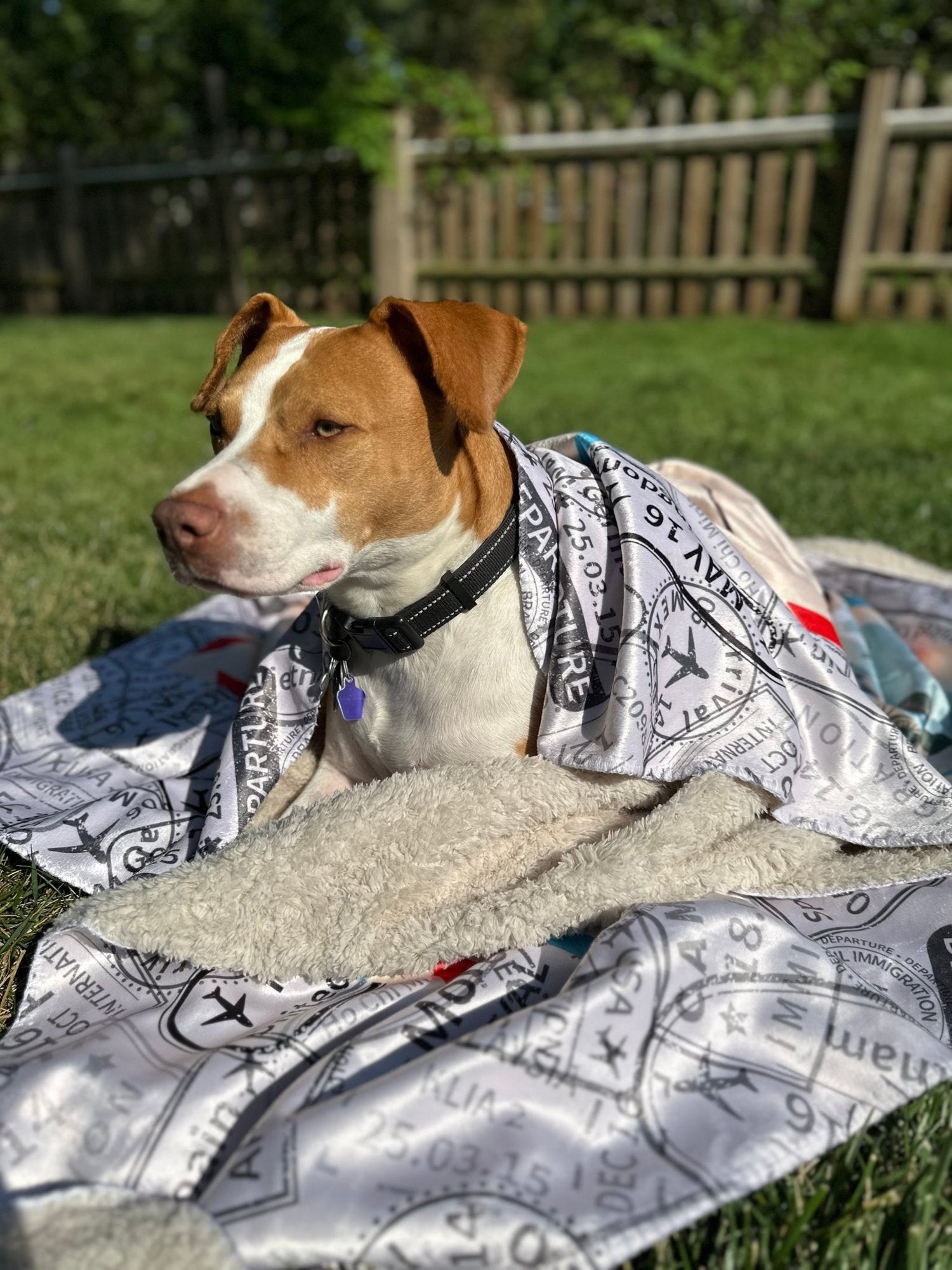 Warm Sherpa Travel Blankets - Out of Office Outfitters